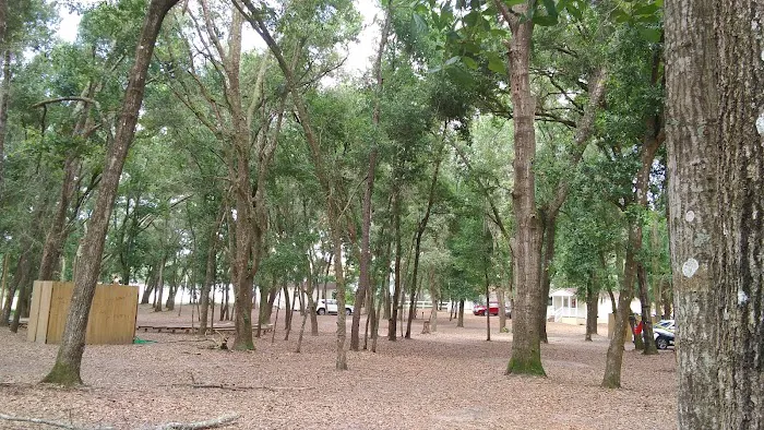 CAMP GAN ISRAEL FLORIDA Picture 9