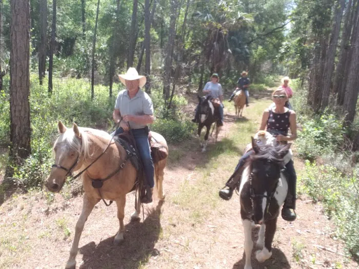 Seminole Wind Ranch Picture 6