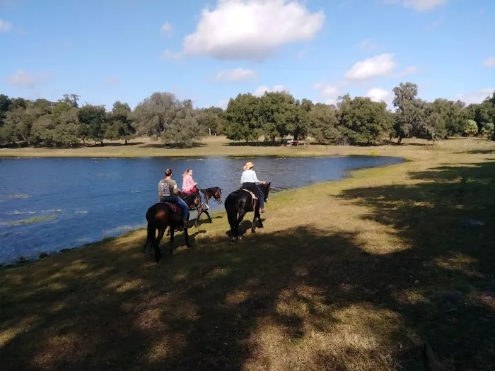 Seminole Wind Ranch Picture 1
