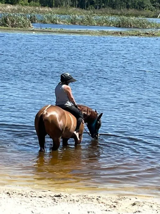 Seminole Wind Ranch Picture 8