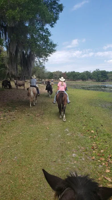 Seminole Wind Ranch Picture 3