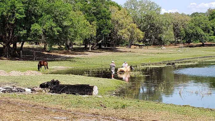 Seminole Wind Ranch Picture 5