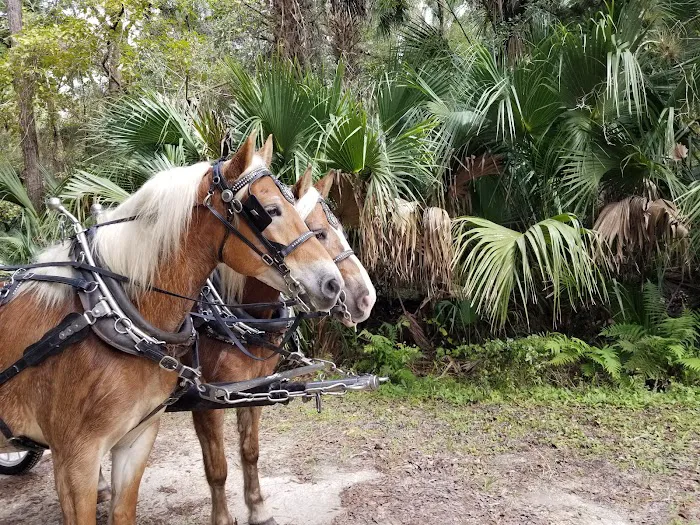 Seminole Wind Ranch Picture 9
