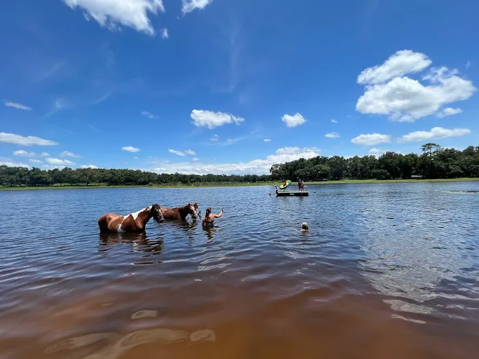Seminole Wind Ranch Picture 10