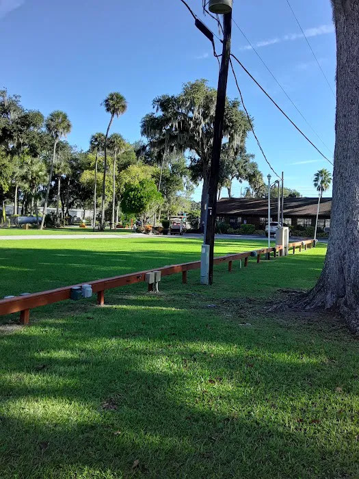 Daytona's Endless Summer Campground Picture 8