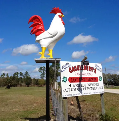 Cacklebery Campground Picture 7