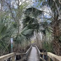 Black Bear Campsite / Shelter ico