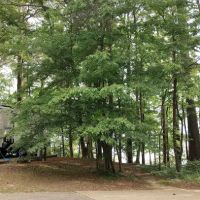 Whitten park campground Fulton Recreation ico