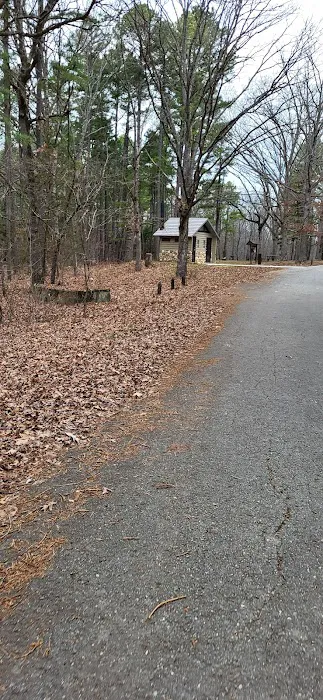 Berryman Campground Picture 2
