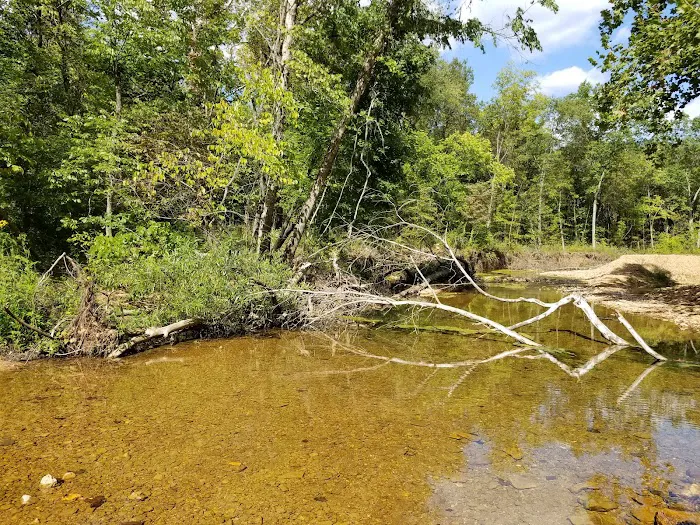 Hazel Creek Campground Picture 2