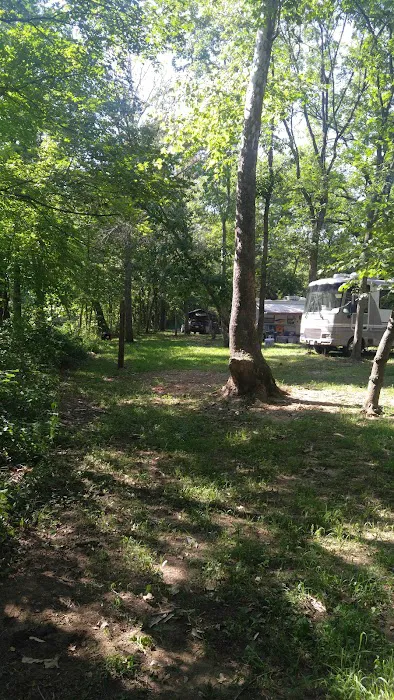 Hazel Creek Campground Picture 7