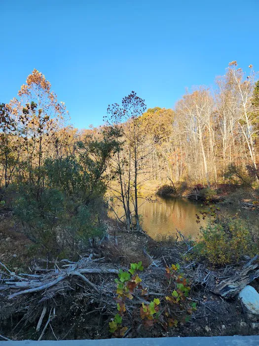 Hazel Creek Campground Picture 9