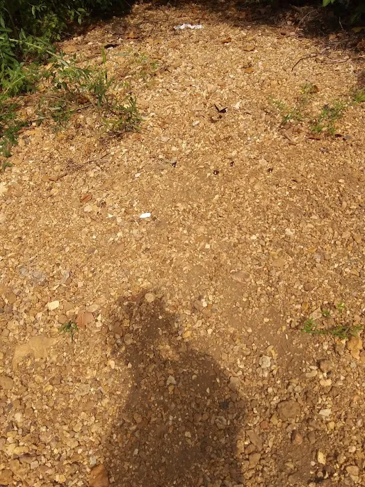 Hazel Creek Campground Picture 10