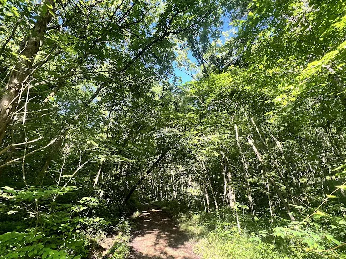 1855 Campground Picture 5