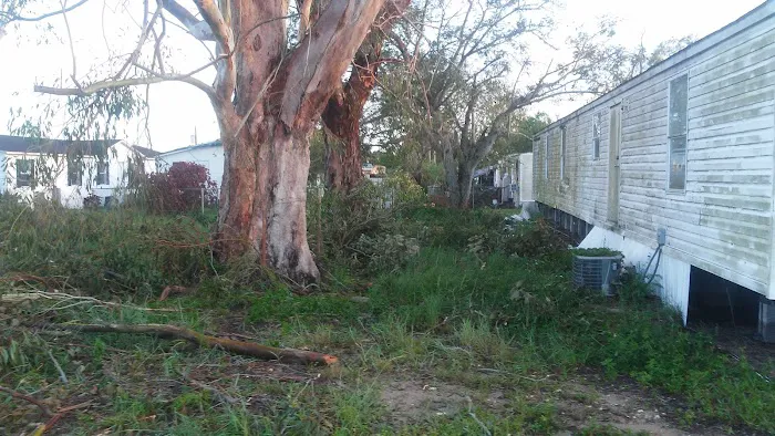 Valencia Family Mobile Home Pk Picture 9