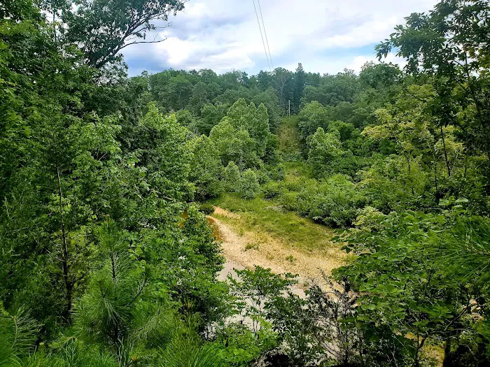 Sutton Bluff Recreation Area Picture 2