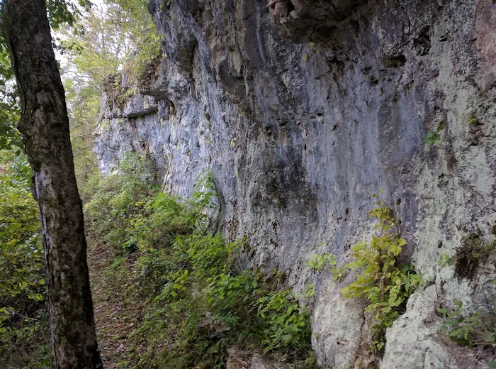 Sutton Bluff Recreation Area Picture 8