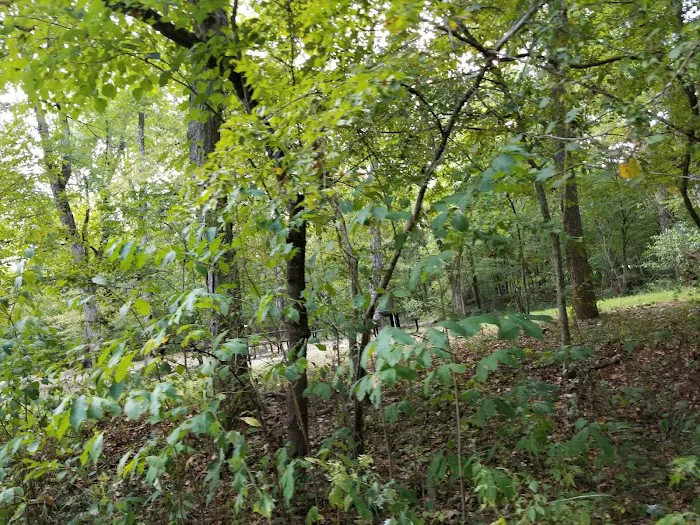 Red Bluff Campground Picture 5