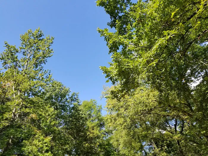 Red Bluff Campground Picture 7