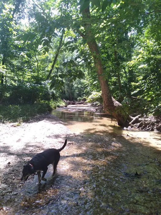 Hummingbird Hollow Outdoors Picture 3