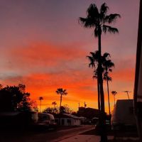 Sebring Grove RV Resort ico