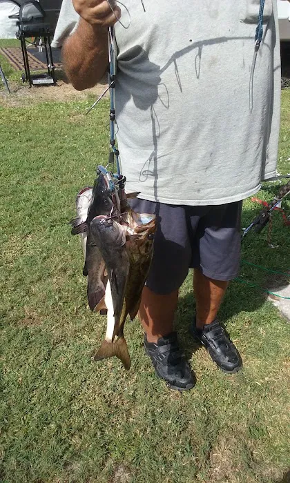 Sebring Grove RV Resort Picture 5