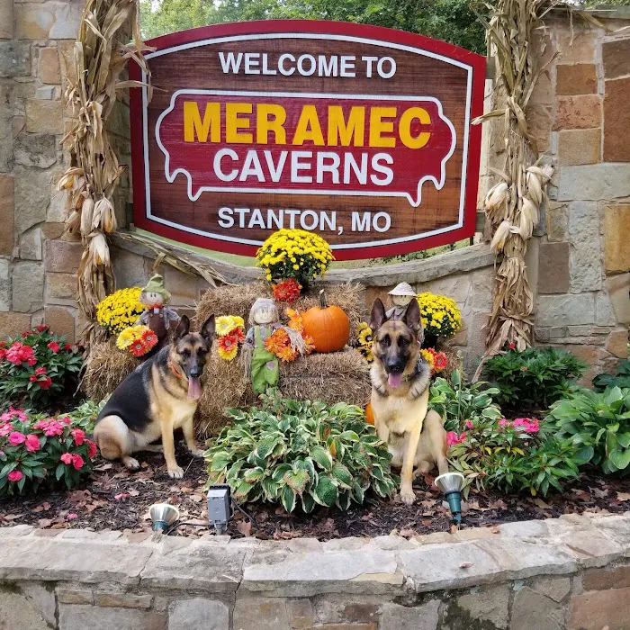 Meramec Caverns Natural Campground Picture 9