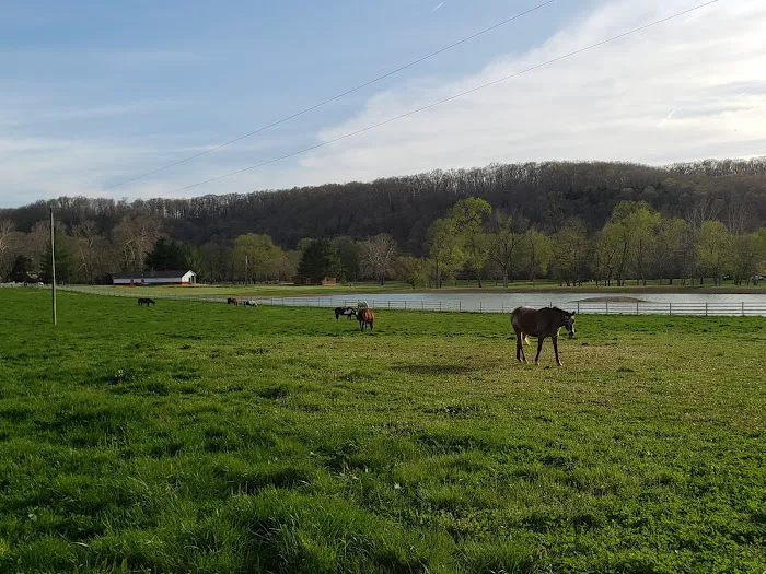 Huzzah Valley Resort Picture 9