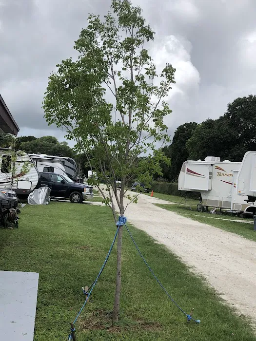 Easy Livin' RV Park Picture 4