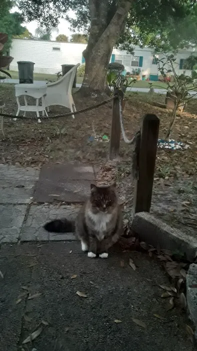 Tanglewood Mobile Home Park Picture 5