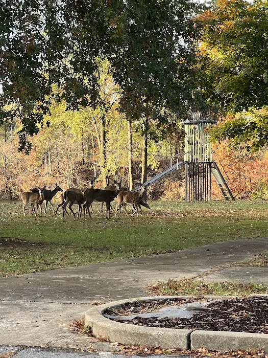 Oak Valley Campground & RV Resort Picture 6