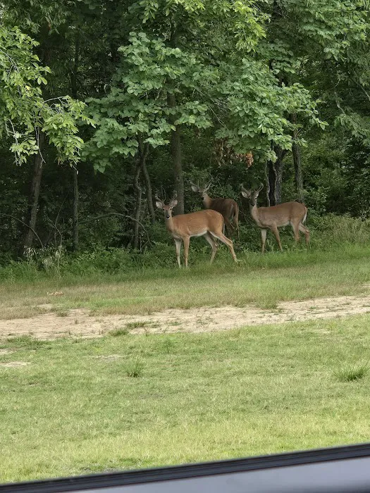 Oak Valley Campground & RV Resort Picture 10