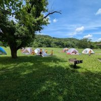Shippey Camporee Field ico