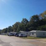 Sycamore Springs