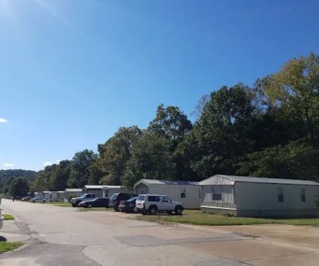 Sycamore Springs