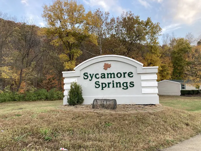 Sycamore Springs Picture 8