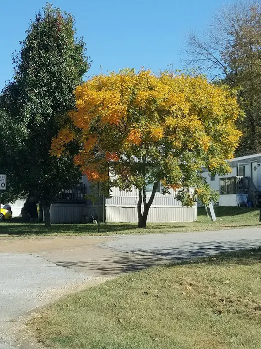 Sycamore Springs Picture 7