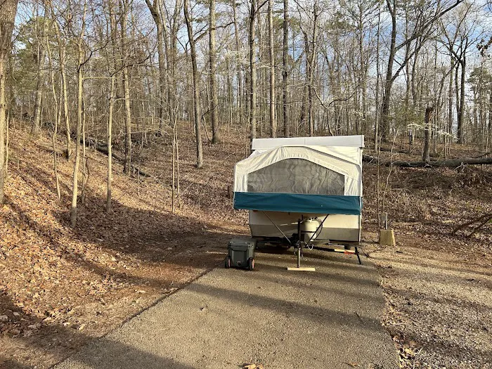 Webb Creek Campground Picture 3