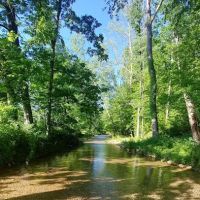 Four Creeks Ranch Campground ico