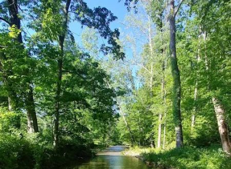 Four Creeks Ranch Campground