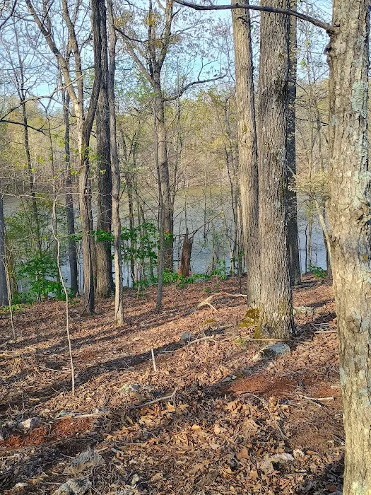 US Army Corps of Engineers Picture 5