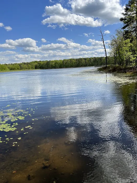 Pinewoods Lake Recreation Area Picture 2