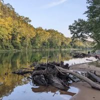 Big Tree Campground ico