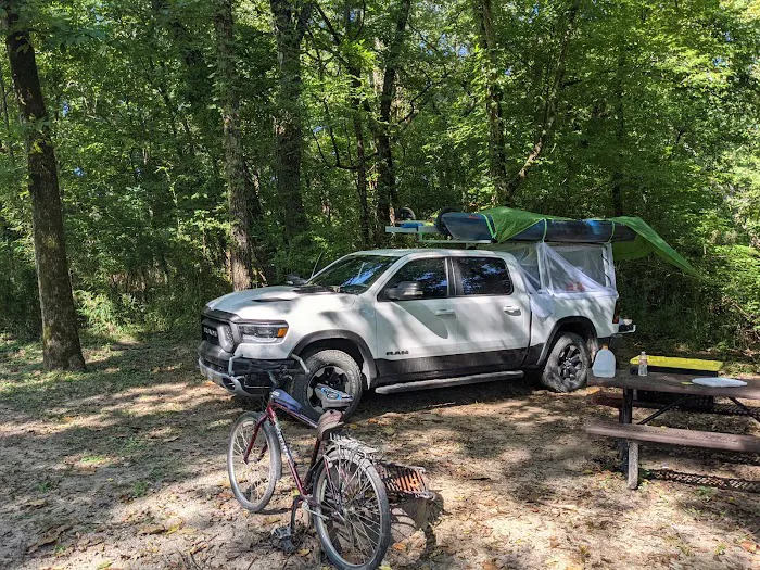 Big Tree Campground Picture 7