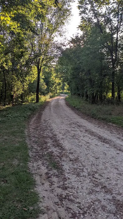 Big Tree Campground Picture 8