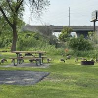 River Park Campground ico