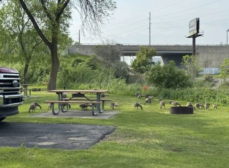 River Park Campground