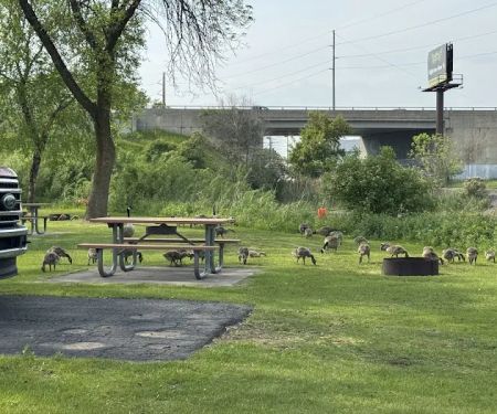 River Park Campground
