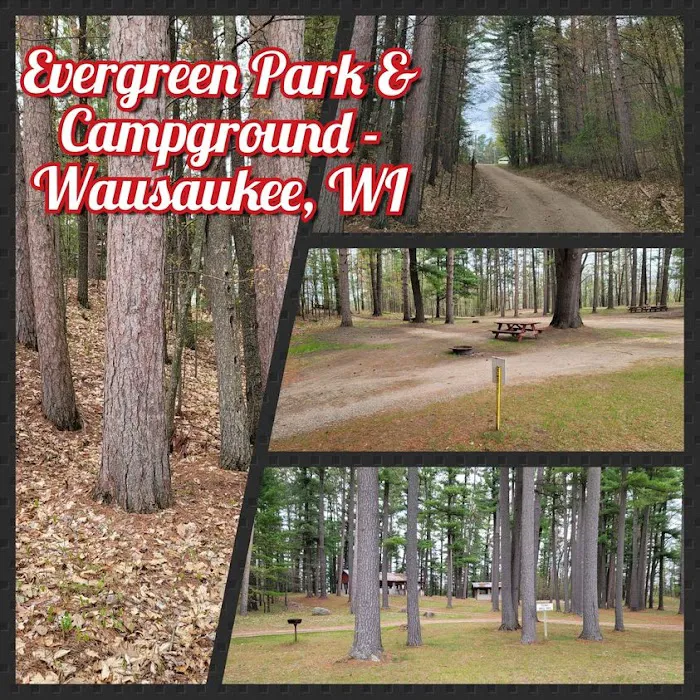 Evergreen Park & Campground Picture 9