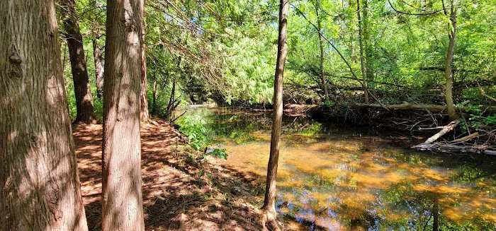 Evergreen Park & Campground Picture 3